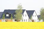 Ferienhaus Lee - Top-Hundeurlaub