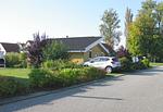 Seeschwalbe 70 - Top-Hundeurlaub