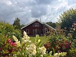 Garten - Wildgans 10 - Top-Hundeurlaub