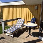 Haubentaucher 80 - Top-Hundeurlaub