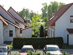 Landschaft - Seeschwalbe Classic 73A - Top-Hundeurlaub