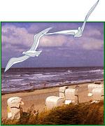 Fewo Golferzimmer - Top-Hundeurlaub