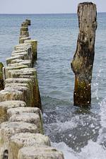 Fewo Golferzimmer - Top-Hundeurlaub