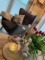 Wohnzimmer - Gartendeck 451 - Top-Hundeurlaub