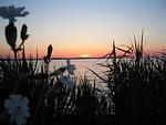 Nachbarschaft - Mitteldeck 503 - Top-Hundeurlaub