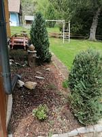 Familienferienhaus Neuper - Top-Hundeurlaub