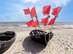 Strandpark Baabe | Ferienhaus 6D - Top-Hundeurlaub