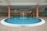Pool - Strandläufer Classic 212 - Top-Hundeurlaub
