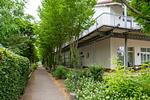 Gartenblick - Schneeeule 201 - Top-Hundeurlaub