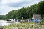 Landschaft - Schneeeule 201 - Top-Hundeurlaub