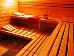 Sauna - Schneeeule 201 - Top-Hundeurlaub