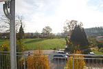 Landschaft - Schneeeule 203 - Top-Hundeurlaub