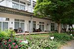 Gartenblick - Schneeeule 221 - Top-Hundeurlaub