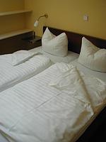 Schlafzimmer - Schneeeule 225 - Top-Hundeurlaub