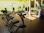 Fitness - Eisvogel Classic 303 - Top-Hundeurlaub