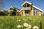 Hauptansicht - Seeschwalbe Classic 41 - Top-Hundeurlaub