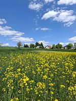 Ferienhaus Plessberg  - Top-Hundeurlaub