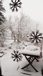 Ferienhaus Plessberg  - Top-Hundeurlaub