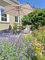 Ferienhaus Ottenschlag  - Top-Hundeurlaub