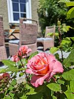 Ferienhaus Ottenschlag  - Top-Hundeurlaub