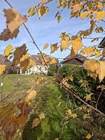 Ferienhaus Ottenschlag  - Top-Hundeurlaub