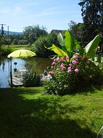 4****Traumferienhaus Pfänderblick - Top-Hundeurlaub