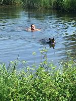 4****Traumferienhaus Pfänderblick - Top-Hundeurlaub