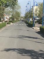 Friesische Freiheit Halbinsel Butjadingen - Top-Hundeurlaub