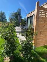 Ferienhaus Kristall im Waidlerland am See - Top-Hundeurlaub