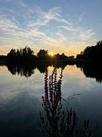 Ferienhaus Kristall im Waidlerland am See - Top-Hundeurlaub