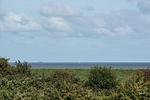 Landschaft - NordseeResort Friesland 38 - Top-Hundeurlaub