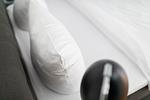 Dekoratives Detail - Sonnendeck 14 - Top-Hundeurlaub