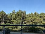 Balkon - FeWo A2.3 - Top-Hundeurlaub