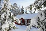 Ferienhaus in Värmland, Schweden. Toplage mit Blick auf den See - Top-Hundeurlaub