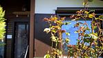 Fenster - Sonneneck - Top-Hundeurlaub