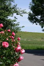 Wetternweg 2 - Top-Hundeurlaub