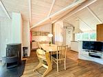 Wohnzimmer mit TV - Ferienhaus 04 - Top-Hundeurlaub