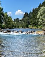 Molltaler Appartements Studio Pepper  - Top-Hundeurlaub