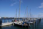 Nachbarschaft - Apprtementhaus Victoria - WE B 06 - Stranddüne - Top-Hundeurlaub