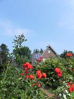 Garten - Ferienwohnung *Üüs Aran 7* - Top-Hundeurlaub