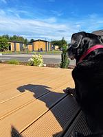 Ferienchalet - Top-Hundeurlaub