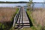 Landschaft - My Second Home - Top-Hundeurlaub