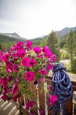 Natur pur im Nationalpark Stilfserjoch - Retro Vibes inklusive - Top-Hundeurlaub