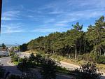 Meerblick - FeWo B2.3 - Top-Hundeurlaub