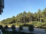 Balkon - FeWo A2.2 - Top-Hundeurlaub