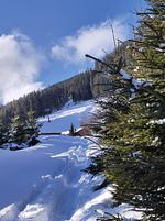 Klausenstein - Gutshof Hollersbach***** - Top-Hundeurlaub