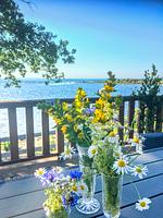 Ferienhaus in Schweden auf eigener Halbinsel in der Ostsee (Haus 50) - Top-Hundeurlaub