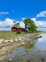 Ferienhaus in Schweden auf eigener Halbinsel in der Ostsee (Haus 50) - Top-Hundeurlaub