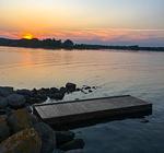 Ferienhaus in Schweden auf eigener Halbinsel in der Ostsee (Haus 50) - Top-Hundeurlaub