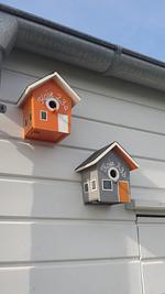 Dekoratives Detail - Ferienhaus Koje 23 Olpenitz - Top-Hundeurlaub